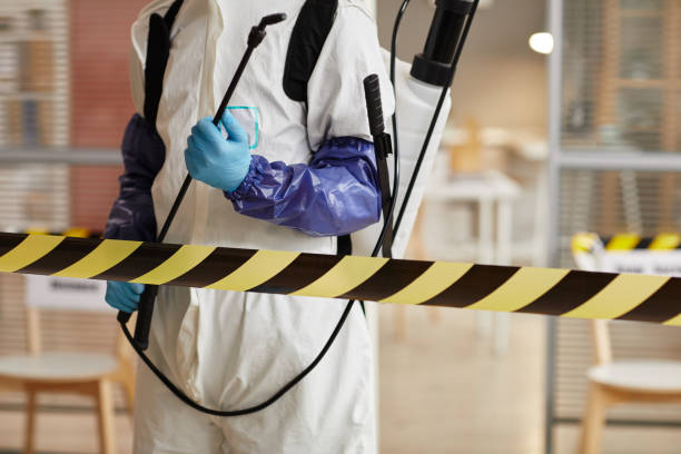 Professional Sewage Cleanup technician working in Grant, FL