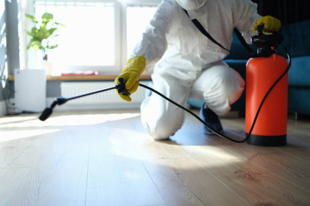 Reliable Sewage Cleanup contractor in Grant, FL by Trauma Clean Pros